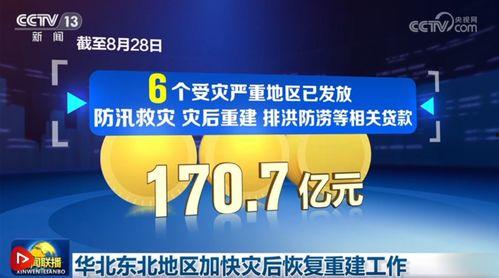 央视网最新爆料消息,揭秘重大事件背后真相