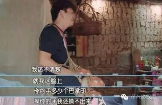 王宝强女友爆料事件视频,真相与谣言的交织  第2张