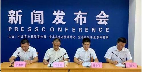 丰县最新爆料新闻头条网,揭秘事件背后真相