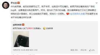 爆料坚果做法视频播放,跟随视频学习美味坚果的诞生