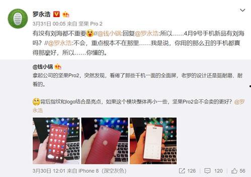 爆料坚果做法视频播放,跟随视频学习美味坚果的诞生  第2张