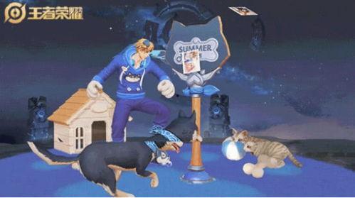 大乔猫狗爆料视频,揭秘娱乐圈幕后故事  第2张