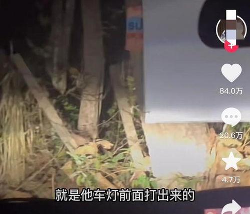 泰国博主爆料事件视频播放,揭秘背后真相