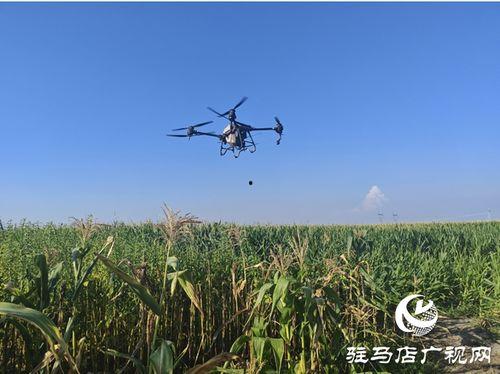 平舆县无人机爆料案件最新,揭秘背后真相与法律交锋 第3张 平舆县无人机爆料案件最新,揭秘背后真相与法律交锋 第3张