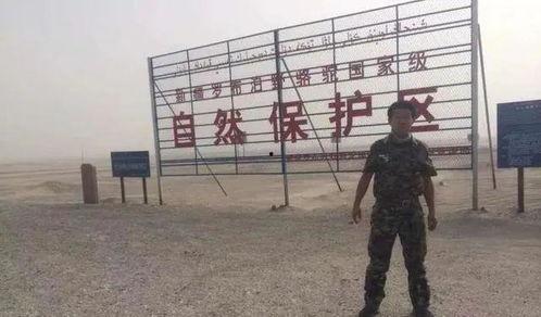 知名人士爆料罗布泊视频,知名人士曝神秘视频引发热议