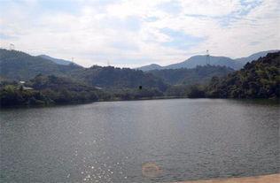 长春水库爆料视频大全集,揭秘水库背后的惊人真相