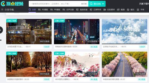 爆料篇视频素材网站,爆料篇深度解析  第2张