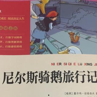 007007在线观看,在线观影，揭秘特工世界的惊险旅程