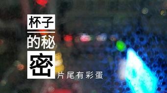 天津饭店爆料视频大全集,揭秘餐饮行业幕后真相