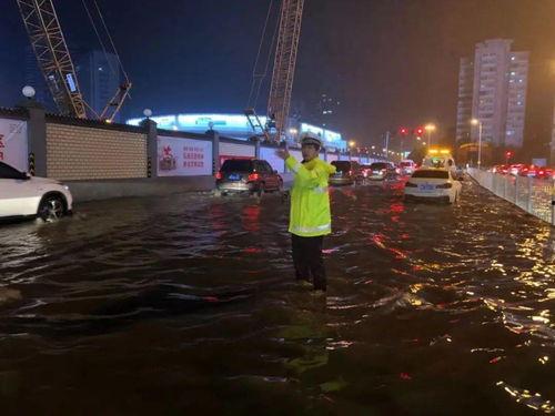 刑警爆料重大事故案例最新,惊心动魄的特大交通事故案背后真相  第3张