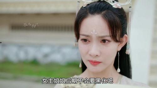 杨紫和成毅最新爆料,揭秘幕后故事与情感纠葛  第2张