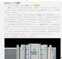 炒房团最新爆料,最新爆料揭示楼市暗流涌动  第3张