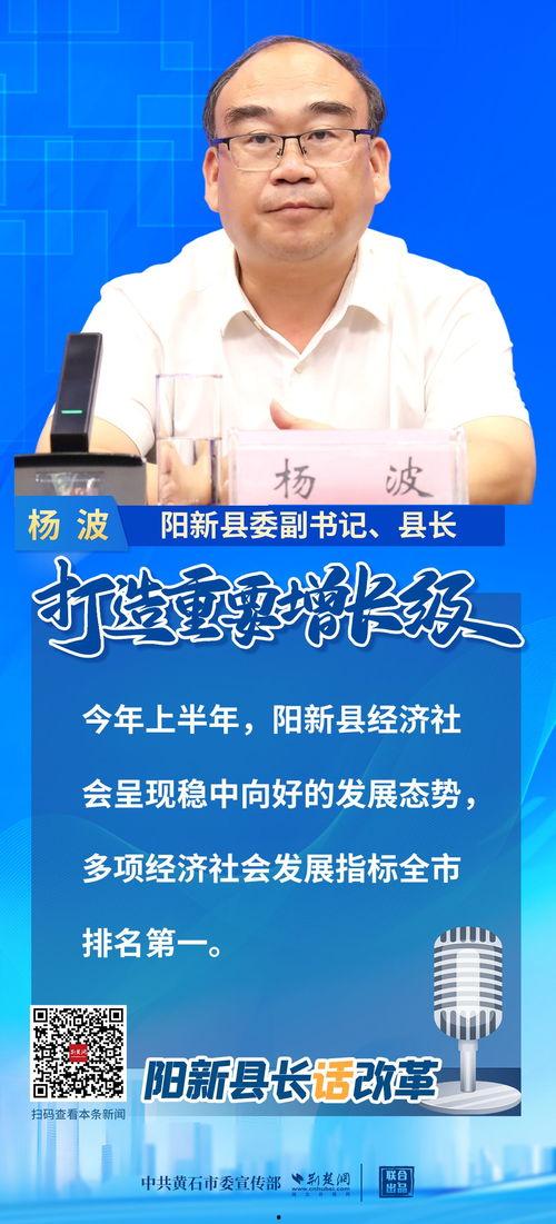 阳新县新闻爆料,聚焦民生热点，揭示社会现象