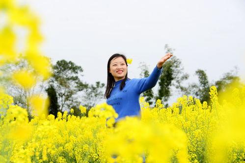 在线观看油菜花香,一场视觉与情感的田园盛宴  第3张