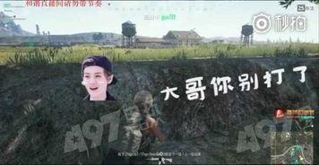 大军哥爆料本溪视频大全,本溪视频大全精彩瞬间大汇总  第3张