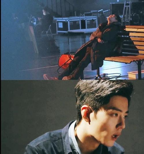 肖战圈内人爆料完整