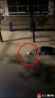 爆料广州暴雨视频最新,城市抗洪纪实  第3张