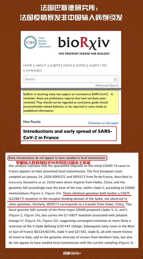 法国新冠病毒最新爆料,疫情反弹与防疫挑战并存