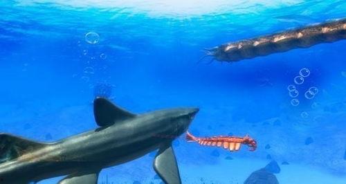海鲨在线观看,深海探险的惊悚之旅