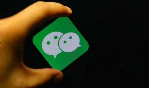 逗哥爆料小程序视频,揭秘短视频背后的精彩故事 第3张 逗哥爆料小程序视频,揭秘短视频背后的精彩故事 第3张