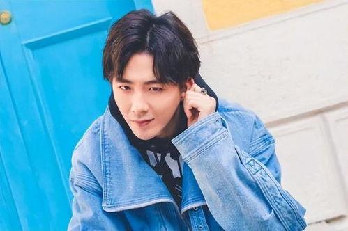 娱乐大爆料邓伦刘宇宁,揭秘幕后故事与精彩瞬间  第3张