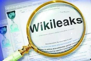 维基最新爆料,最新爆料揭示重大国际事件内幕  第2张