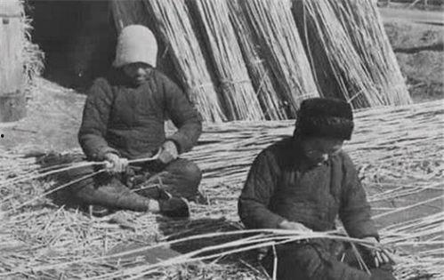 成县吃瓜网红事件始末是什么,一场网络舆论的风暴与反思 第3张 成县吃瓜网红事件始末是什么,一场网络舆论的风暴与反思 第3张