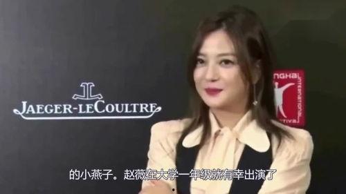 娱乐圈没了爆料,幕后真相与静默背后的风云