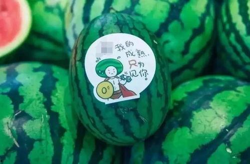 吃瓜图片网红男孩,网红男孩的吃瓜日常 第2张 吃瓜图片网红男孩,网红男孩的吃瓜日常 第2张