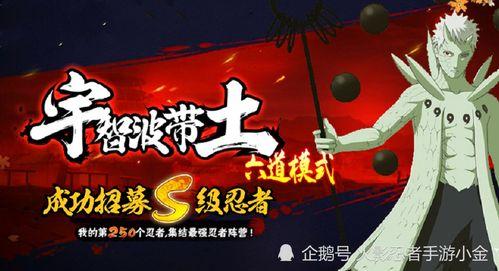 五月高招s官方爆料最新,热门专业、录取政策全解析”  第3张