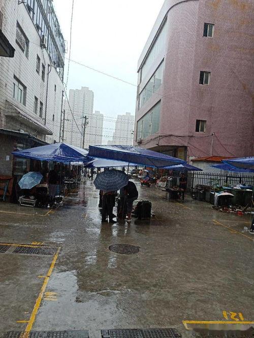 邢台八中街下雨最新爆料,最新现场实况曝光！”  第2张