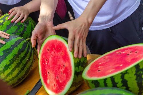 免费吃瓜平台,带你领略网络娱乐新风尚  第2张