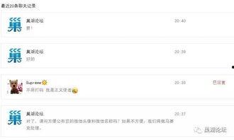 巢湖热点爆料事件视频,惊人真相曝光！