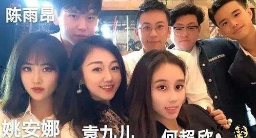 港媒爆料何超欣视频在线观看,在线观看引发热议