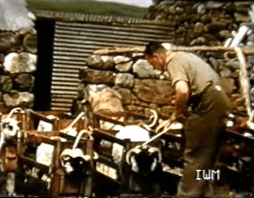 英国爆料生化武器视频,神秘生化武器视频引发全球关注