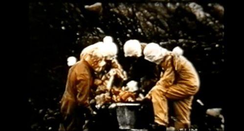 英国爆料生化武器视频,神秘生化武器视频引发全球关注 第2张 英国爆料生化武器视频,神秘生化武器视频引发全球关注 第2张