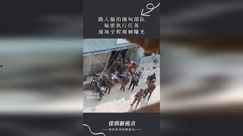 缅甸神秘人爆料视频大全,视频大全背后的惊人真相