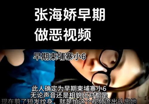 小六最新爆料视频大全集,揭秘幕后真相，带你走进事件核心  第3张