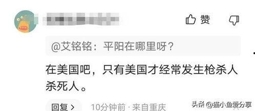 冤情爆料视频大全,视频大全背后的真实故事 第3张 冤情爆料视频大全,视频大全背后的真实故事 第3张