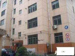 西安小区最新消防爆料,紧急排查行动启动