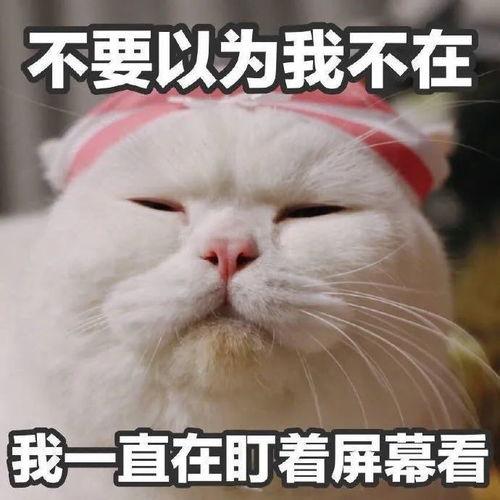 刘大锤最新爆料表情  第2张