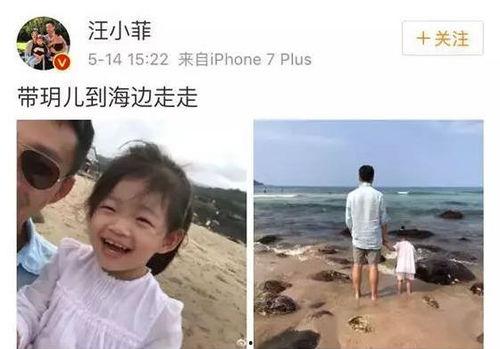 光头邻居爆料视频,一场意想不到的邻里风云