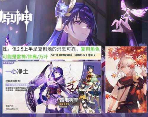 最新爆料雷电将军