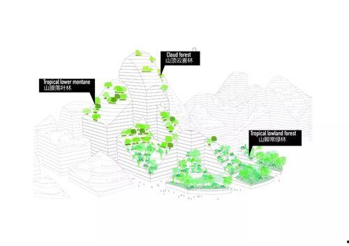 深圳腾讯最新爆料,深圳创新成果惊艳亮相，科技巨头引领未来潮流