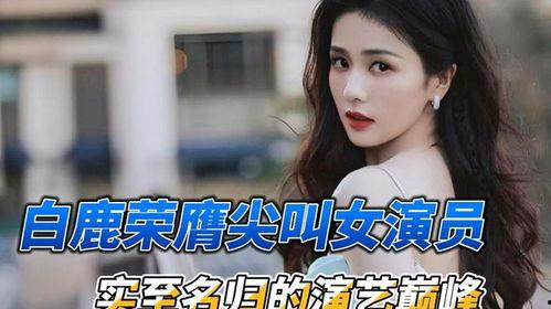 娱乐八卦每日爆料白鹿,娱乐圈再掀波澜