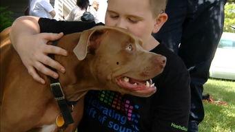 烂脸比特爆料视频,揭秘视频背后的惊人真相 第3张 烂脸比特爆料视频,揭秘视频背后的惊人真相 第3张