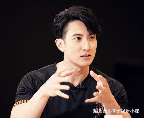 辛凯爆料女艺人是谁呀视频,揭秘神秘女艺人身份之谜  第3张