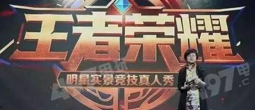 爆料者录视频怎么录的,技术解析与操作指南 第3张 爆料者录视频怎么录的,技术解析与操作指南 第3张