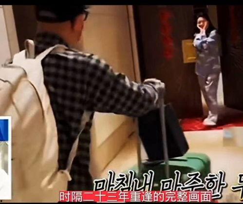 la子豪爆料视频,la子豪爆料视频背后的惊人真相  第2张