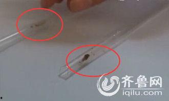 爆料吸管里有虫子吗视频,吸管内惊现虫子，食品安全引关注